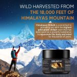 Résine Shilajit pure de qualité supérieure riche en oligo-éléments pour le système immunitaire, 50 g de résine biologique pure de l'Himalaya – Image 4