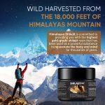 Premium Résine Shilajit pure de qualité supérieure riche en oligo-éléments pour le système immunitaire, 50 g de résine biologique pure de l'Himalaya – Image 4