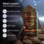 Gummies Biyode Pure Shilajit Gold 3000MG - 60 Gummies – Image 3