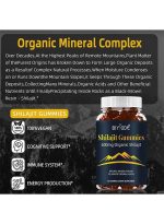 Gummies Biyode Pure Shilajit Gold 600MG - 60 Gummies - USA – Image 2