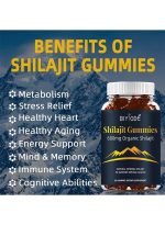Gummies Biyode Pure Shilajit Gold 600MG - 60 Gummies - USA – Image 3