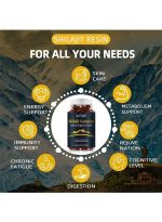 Gummies Biyode Pure Shilajit Gold 600MG - 60 Gummies - USA – Image 4