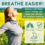 Gummies au Bouillon-Blanc (Mullein) 2000mg – Soutien Respiratoire et Pulmonaire Naturel – 60 Gommes – Image 3
