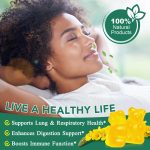 Gummies au Bouillon-Blanc (Mullein) 2000mg – Soutien Respiratoire et Pulmonaire Naturel – 60 Gommes